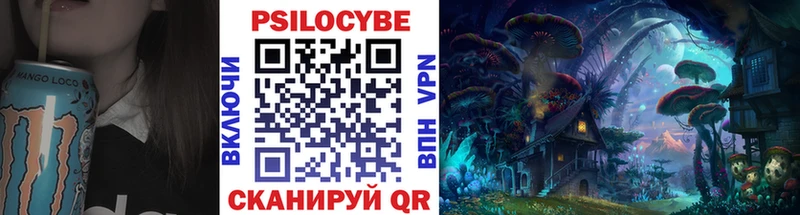 Купить  Чаплыгин  Галлюциногенные грибы Psilocybine cubensis 